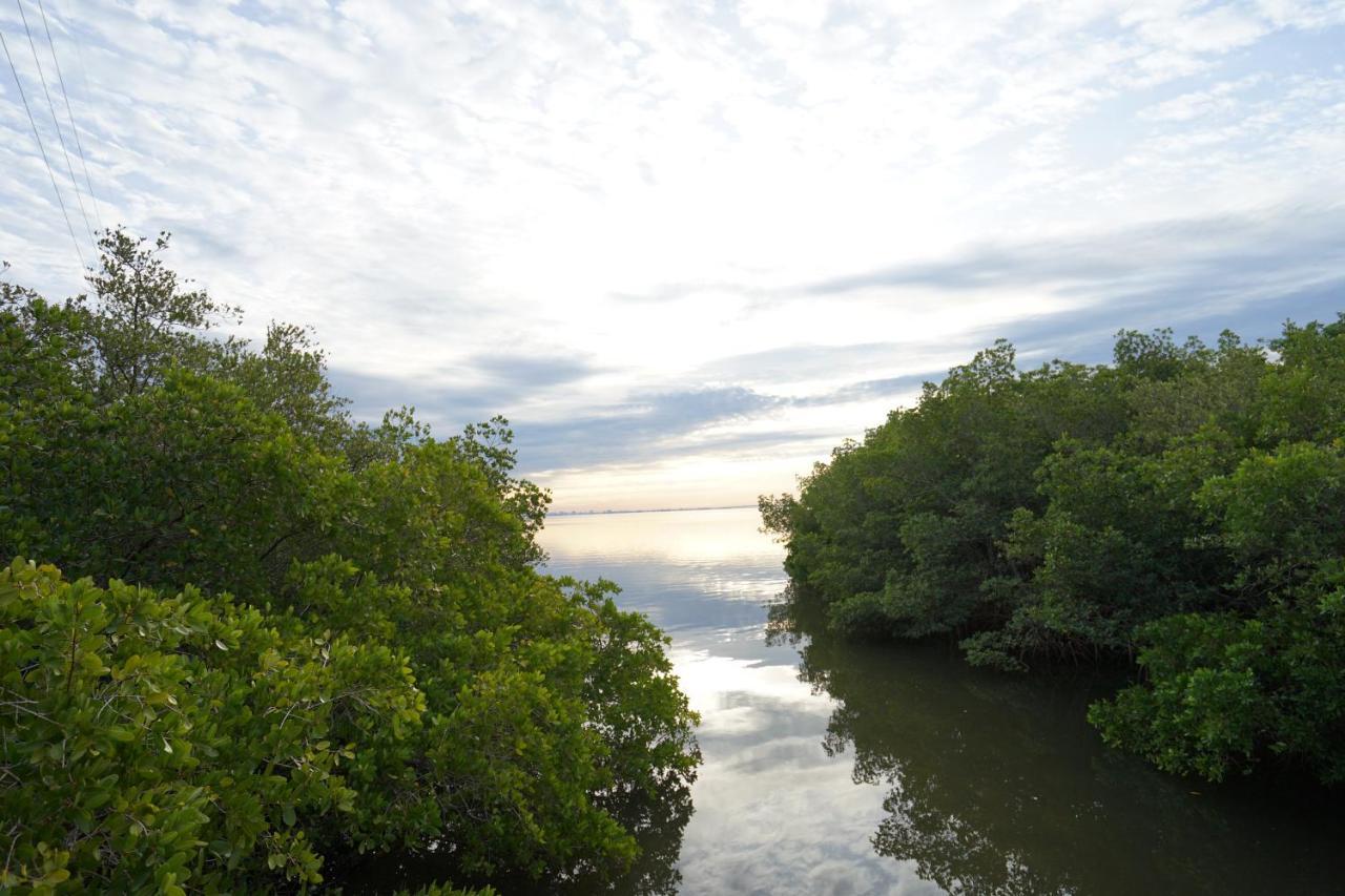 Mar Bay Exclusive Suites Safety Harbor Bagian luar foto